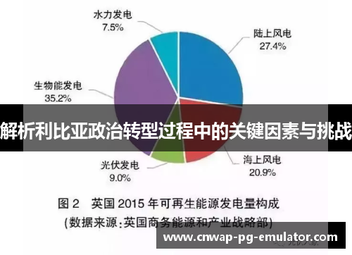 解析利比亚政治转型过程中的关键因素与挑战