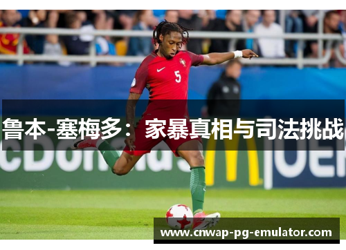 鲁本-塞梅多：家暴真相与司法挑战