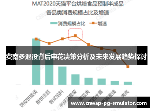 费南多退役背后申花决策分析及未来发展趋势探讨