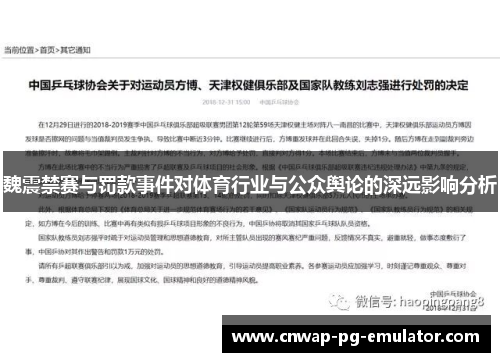 魏震禁赛与罚款事件对体育行业与公众舆论的深远影响分析
